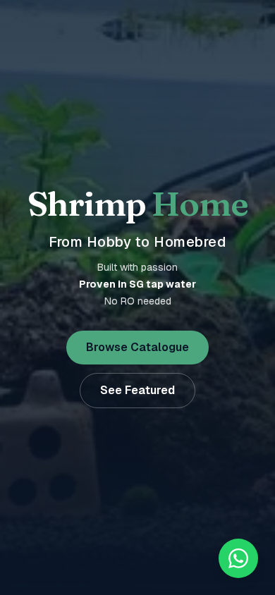 Niche E-Commerce